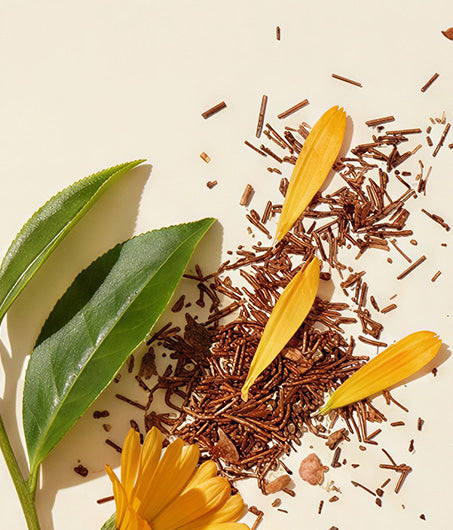 Botanical Support Blend