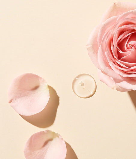Rose Extract